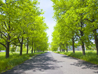 自分の先入観なく、まっすぐに話を聴くこと。